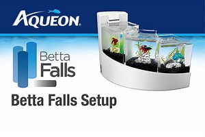 Betta Falls Aquarium Set Up | Aqueon