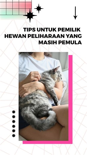 Calon Pemilik Wajib Perhatikan Hal Ini Sebelum Putuskan Adopsi Hewan