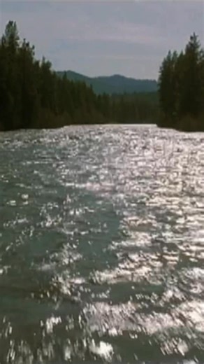 364K views · 11K reactions | Best ending scene of all time 襁 | Native Ground Coffee | Facebook