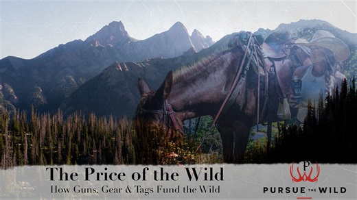 When you think of conservation heroes, you might not picture hunters, anglers, or gun owners, but you should. In this episode, I head into the backcountry to shine a light on the often-overlooked truth: gun owners and hunters are the backbone of American conservation. Through hunting and fishing licenses, tag sales, and an 11% excise tax on firearms, ammunition, archery equipment (thanks to the Pittman-Robertson Act), hunters and firearms owners contribute nearly $1 billion annually to support w