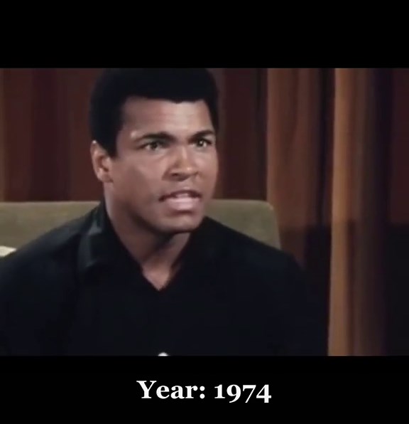 Assi Cohen on TikTok