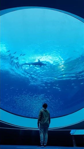 Magical Aquarium view 🐠🌊