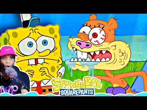 SQUIRREL RECORD / SpongeBob Squarepants Reaction