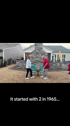 Exploring Our Family Video Tree