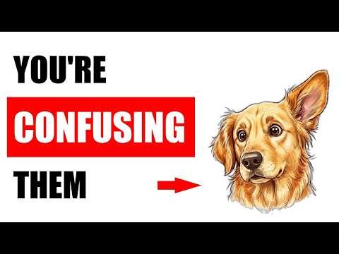7 Things You Do That Confuse Your Dog (And How to Fix Them)