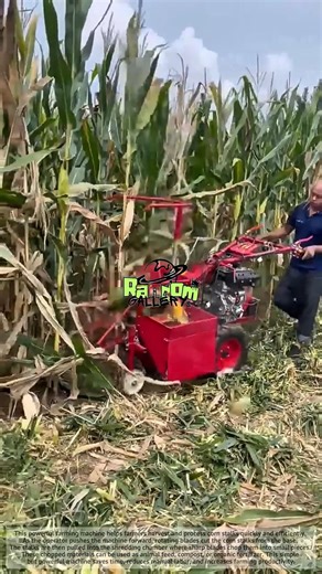 Amazing Corn Harvest Machine That Works Super Fast! | Modern Farming Technology