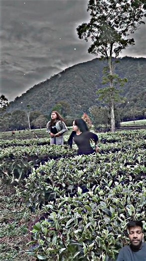 2pac all eyez on me🔥🥵(Gangsta Remix) Part 71 #shorts #alightmotion #xml_file #xml #song