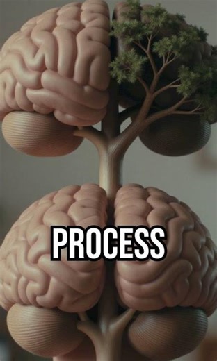 Unlock mental clarity with Merkle Trees! #BrainHealth #WellnessDiscovery #CognitiveBoost