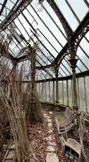 23 Years Abandoned — Inside The French Chateau They Left Behind #abandoned #urbex #history