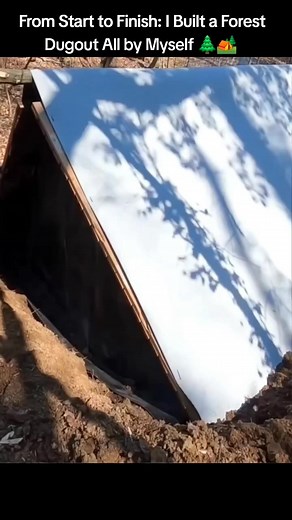 I built a complete dugout shelter in the forest — all by myself, from the first shovel of soil to the final touches! 🌿💪 Watch how I shaped the land, reinforced the walls, designed the roof, and turned nature into a home. 🏕️✨ If you enjoy wilderness builds, survival projects, and peaceful nature vibes, make sure to like, comment, and follow for more! 🔔🌲 | Wild Trail Life