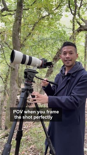 POV: Cinematic vs. Algorithmic 😭