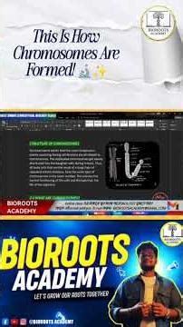 This Is How Chromosomes Are Formed! 🔬✨