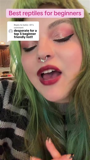 Top 5 Beginner-Friendly Reptiles for Pet Lovers