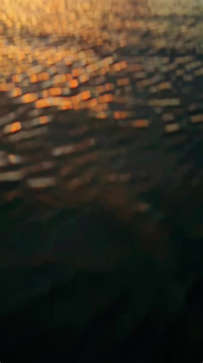 Presto (@saulgood101)’s videos with original sound - Presto