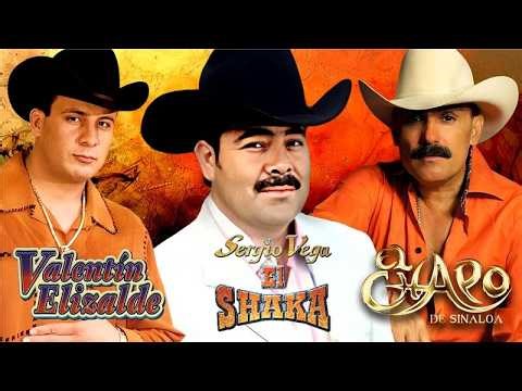 Sergio Vega, El Chapo y Valentín Elizalde ❤️ Éxitos Románticos Inolvidables | Banda Mix 2026 🎸