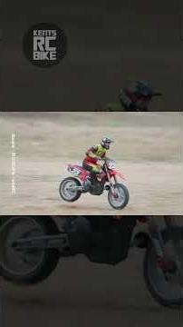 RC BIKE LOSI PROMOTO MX