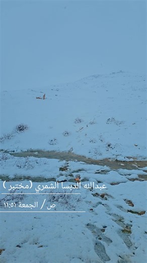 #tiktok #شمر_السناعيس_الضياغم_الطنايا #مستشفى_تكريت_التعليمي #تكريت_الموصل_بغداد_الانبار_النجف #بغداد_بصرة_موصل_الكويت_الخليج_دبي_بغداد