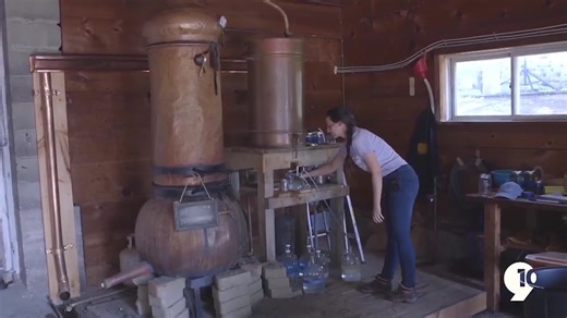 The Journey of Lavender: Distillation, Benefits, and Uses