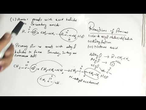AMINES complete reactions|nbf chemistry |Class 11 Chemistry Chapter 20