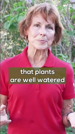 Why Are My Lilacs Blooming in Fall? | Causes & What To Do