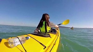 150K views · 579 reactions | Experience everything you've always wanted to do but never had the time to in Auckland. | Flight Centre Australia | Facebook