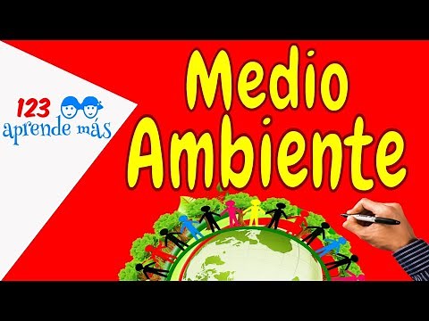 Medio Ambiente para niños. Vídeo para primaria
