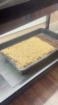 Using Heat Mats For Seed Starting? Watch Out for This!