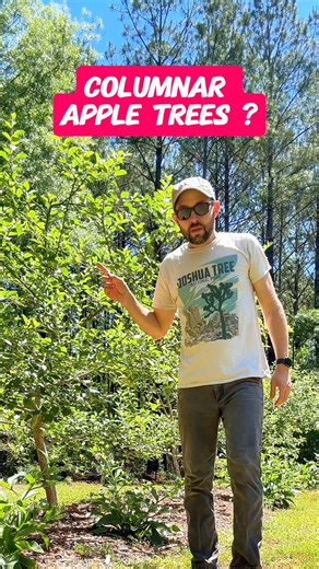 214K views · 4.9K reactions | Post an  in the comments if you’ve...