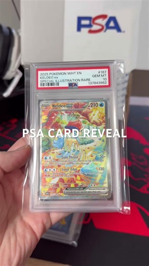 PSA card reveals #tcgpokemon #fypシ #fypシ゚viral #pokemon