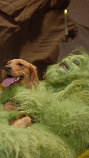 1.4M views · 31K reactions | Can everyone please leave me alone. Please. #NationalGrinchDay #TheGrinch #DrSeuss | Dr. Seuss | Facebook