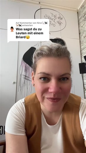 Briard Grooming Tips from a Professional Dog Groomer