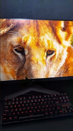 Monitor LG UltraGear 24 Tela IPS 144Hz 24GN60R. VALE APENA ?