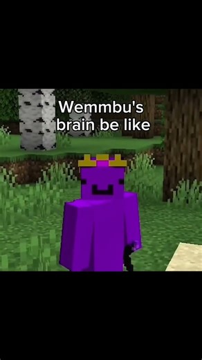 Wemmbu Mentality fr 😭 #minecraft #clip #funny #wemmbu #smp Clip from: ‪@wemmbumc‬