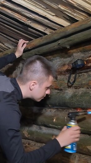 194K views · 2.5K reactions | I Built This To Stay Alive | Forest Paths | Facebook