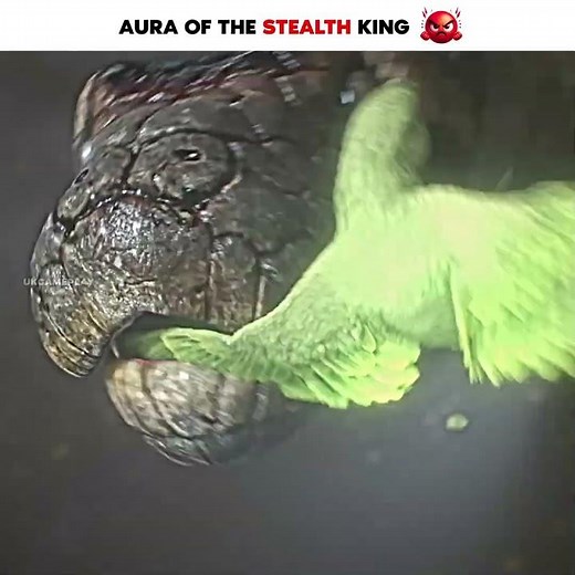 Aura of the Stealth King! 🗿🤫 #shorts