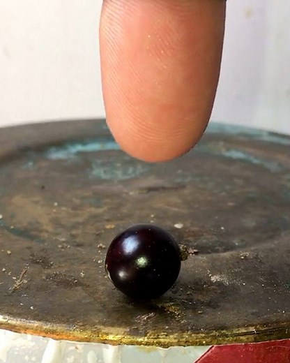 1.4M views · 6.9K reactions | You've seen a hydraulic press crush everything, now meet the hydraulic finger...  | LADbible | Facebook