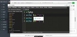 单引号使用反斜杠
