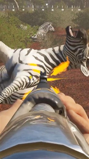 Blessing The Zebra in Africa | Ultimate Hunting