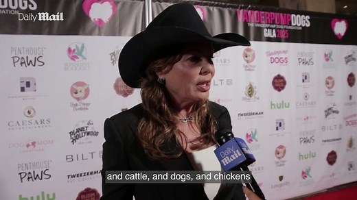 Weird Science star Kelly LeBrock opens up on leaving Hollywood for ranch life