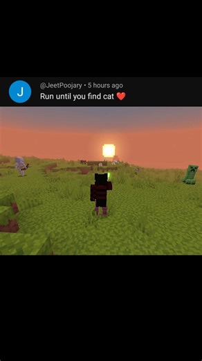 Running Until I Find Cat 😱