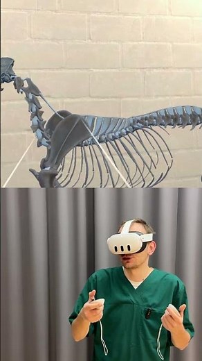 Canine Scapula Explained in VR