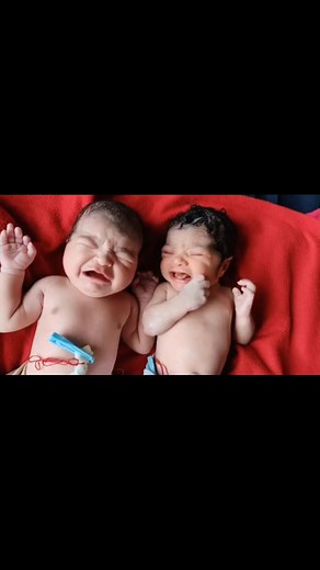 5.5K views · 72 reactions | Gorgeous Twins Girl and Boy Newborn babies immediately after birth @babiesvideos #twins #bond #baby #babiesofinstagram #cutebaby #bestphotochallenge #cute #twins #crybaby #bonding #cutestickers #babyboy | Babies videos | Facebook
