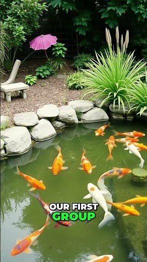 Natural Pond Algae Solutions - 6 Fish to Restore Balance