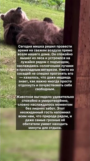Медведь наслаждается природой у дома🐻🐻‍❄️ #интересное #хочуфакты #животныешляйх