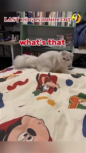 last dog was innocent 😇🤣#viralshort #shorts