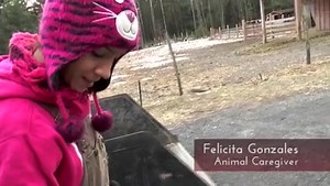 716K views · 317 reactions | This video was so popular last year...