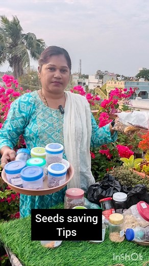 4.8K views · 28 reactions | Seeds saving Tips . . . . . . #seedsaving #seeds #vegetablesseeds #gardeninglife #gardening #telugu #gardencommunity #terracegarden #reelsinstagram #instareels #reelsinstagram #gardengoals #explorepage #exploremore #reelfeelit #gogreen #_royal__garden_ #organicgardening | Kumari Sarath Putta | Facebook