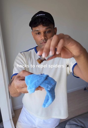 Effective Hacks to Keep Your Home Spider-Free