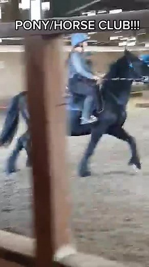 pony/horse club on TikTok