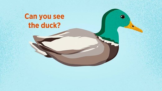 3.9K views · 95 reactions | WATCH: Learn about the duck curve and how our #solar research can help utilities better balance energy supply and demand on the grid. 閭☀⚡ New blog: https://energy.gov/eere/articles/confronting-duck-curve-how-address-over-generation-solar-energy | U.S. Department of Energy Office of Critical Minerals and Energy Innovation | Facebook